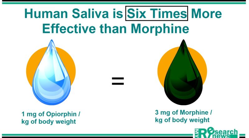 human saliva and morphine